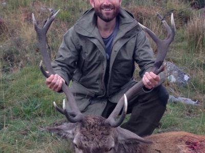 Red Stag and Deer Hunting in Scotland